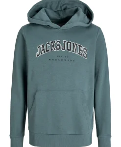 Jack&Jones Jr Caleb Sweat Hood