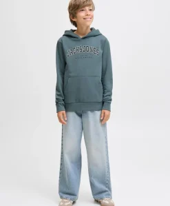 Jack&Jones Jr Caleb Sweat Hood