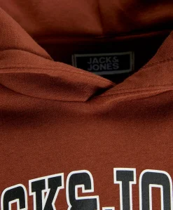 Jack&Jones Jr Caleb Sweat Hood