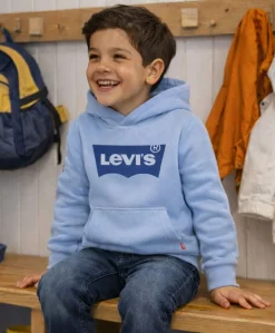 Levi's Batwing Hoodie jr