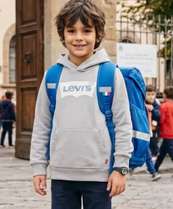 Levi's Batwing Hoodie jr