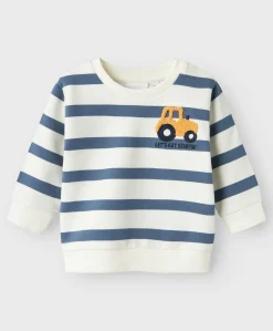 Name it Bevo Sweat