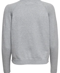 Only Lesly pullover