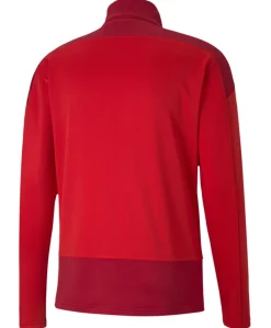 Puma Team Goal 23 Training 1/4 Zip