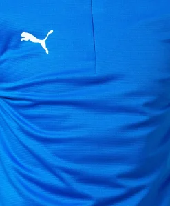 Puma Team Goal 23 Training 1/4 Zip