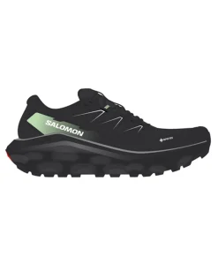 Salomon Ultra Flow 2 GTX Herre