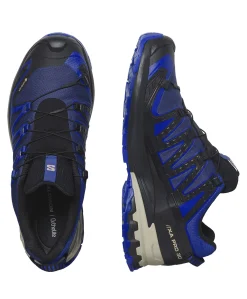 Salomon XA PRO v9 GTX Shoe Herre