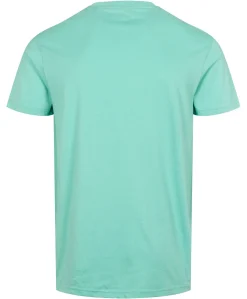 U.S.Polo Arjun T-shirt