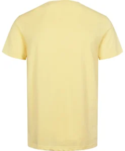 U.S.Polo Arjun T-shirt