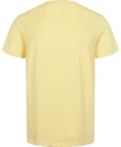 U.S.Polo Arjun T-shirt